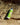 Nalgene OG Leave No Trace | 48oz