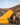 16' Regatta Bell Tent - Tuscan Sun