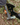 Zombinator Survival Hatchet
