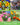 Functional Flower Garden Kit - 36 Seeds for Beauty, Bees & Wellness