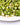 Mother Earth Products - Freeze-Dried Broccoli - Quart Jar