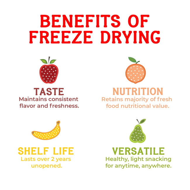 Nature’s Turn Freeze-Dried Fruit Snacks, Mango Crisps - Pack of 6 (1.2 oz Each)