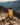 Nalgene OG Honnold Foundation | 32 & 48oz