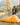 Solo Bivy 1-Person Tent - Orange