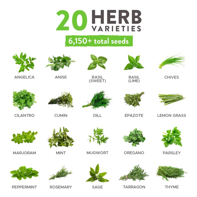 Home Grown Brand Heirloom Herb Seeds 20 Variety Pack