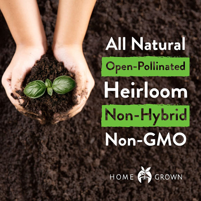 Home Grown Brand, Non-GMO, Heirloom Herbs (5 Varieties)
