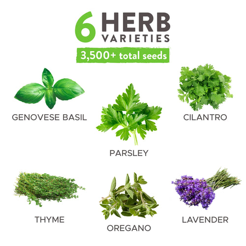 Home Grown Brand, Heirloom Herb Seeds - 6 Variety Pack