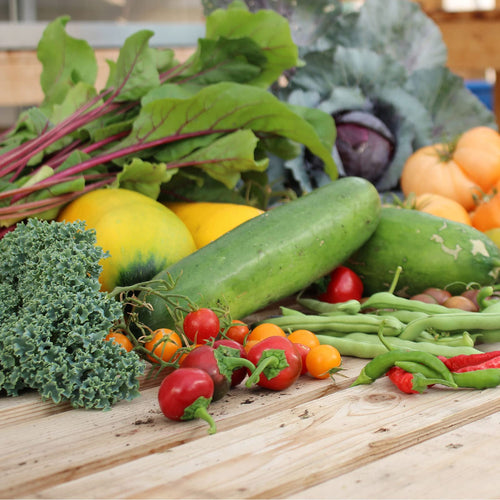 Mountain Valley Seed Company - Vegetable Garden Non-GMO 50,000+ Seeds (16 Varieties)