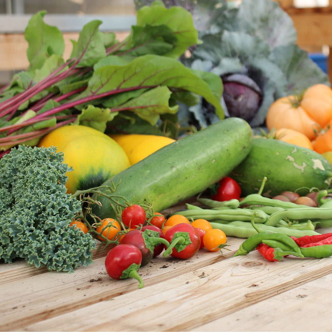 Mountain Valley Seed Company - Vegetable Garden Non-GMO 50,000+ Seeds (16 Varieties)