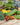 Mountain Valley Seed Company - Vegetable Garden Non-GMO 50,000+ Seeds (16 Varieties)