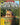 THE BEST OF MOTHER EARTH NEWS, 2ND EDITION