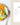 Diabetic Cookbook & Meal Plan (Spiral Bound)