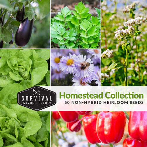 Survival Garden Seeds Homesteader 50 Heirloom Seed Packets (Non-GMO)