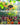 Survival Garden Seeds Vegetable Garden Collection 15 Heirloom Vegetables Seed Varieties