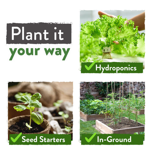 Home Grown Brand, Heirloom Seeds, Spring Vegetables 12 Variety Pack