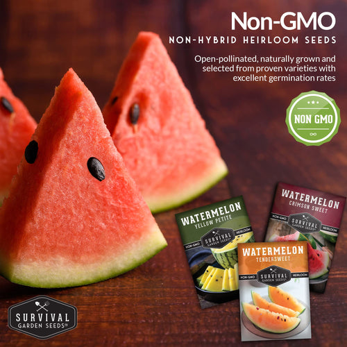 Survival Garden Seeds, Tri-Color Watermelon Seeds Collection (3 Pack)