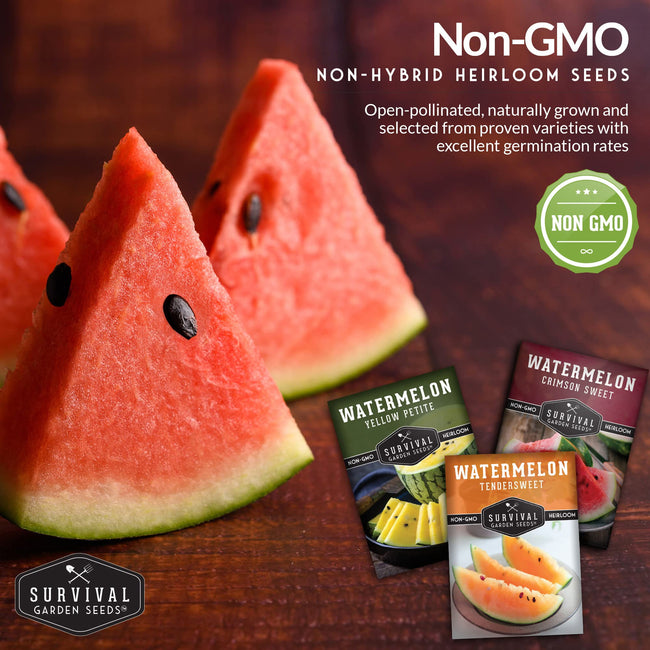 Survival Garden Seeds, Tri-Color Watermelon Seeds Collection (3 Pack)