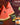 Survival Garden Seeds, Tri-Color Watermelon Seeds Collection (3 Pack)