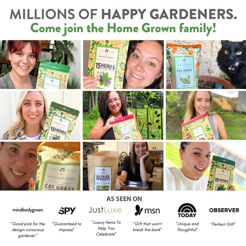 Home Grown Brand, Heirloom Seeds, Spring Vegetables 12 Variety Pack