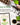 Home Grown Brand Heirloom Herb Seeds 20 Variety Pack