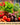 NatureZ Edge - Heirloom Vegetable Seeds - 20 Varieties