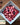 Ready Harvest Freeze-Dried Cranberries - #10 Can