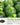 Survival Garden Seeds Farmer Seed Vault - 100 Seed Varieties
