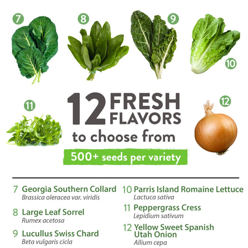 Home Grown Brand, Heirloom Seeds, Spring Vegetables 12 Variety Pack