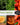 Survival Garden Seeds Farmer Seed Vault - 100 Seed Varieties