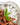 Mountain High Organics - Certified Organic Jasmine White Rice 6 Gallon/40lb Bucket