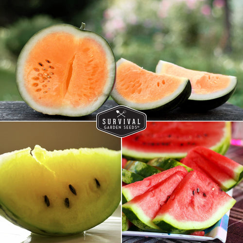Survival Garden Seeds, Tri-Color Watermelon Seeds Collection (3 Pack)