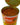 Yoders Canned Taco Seasoned Beef - 28oz Can