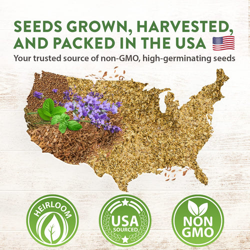 Home Grown Brand, Non-GMO, Heirloom Herbs (5 Varieties)