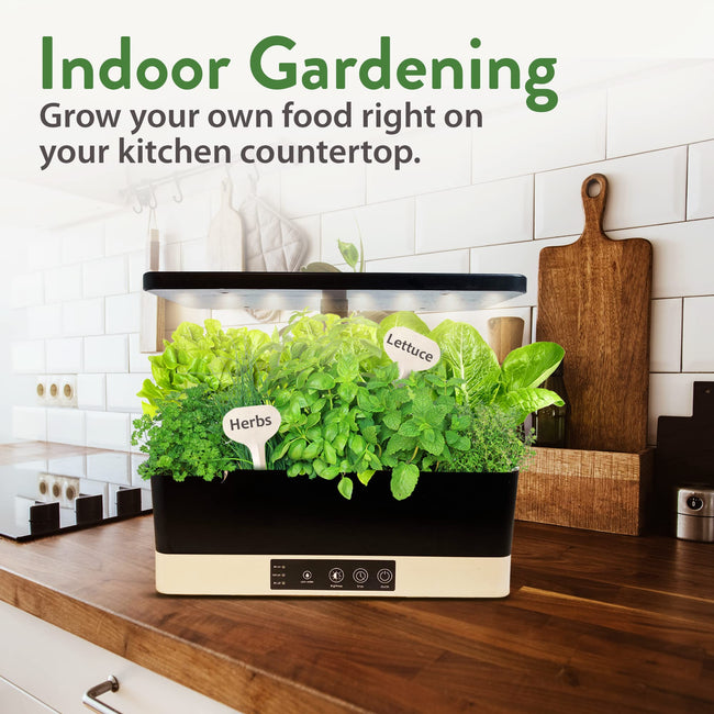Home Grown Brand, Non-GMO, Heirloom Herbs (5 Varieties)