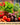 NatureZ Edge - Vegetable and Herb Seeds - 30 Varieties