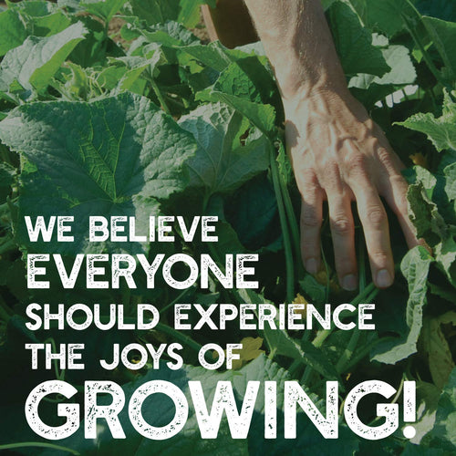 Mountain Valley Seed Company - Vegetable Garden Non-GMO 50,000+ Seeds (16 Varieties)