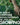 Mountain Valley Seed Company - Vegetable Garden Non-GMO 50,000+ Seeds (16 Varieties)