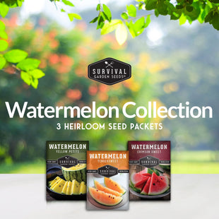 Survival Garden Seeds, Tri-Color Watermelon Seeds Collection (3 Pack)