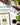 Home Grown Brand, Heirloom Herb Seeds - 6 Variety Pack