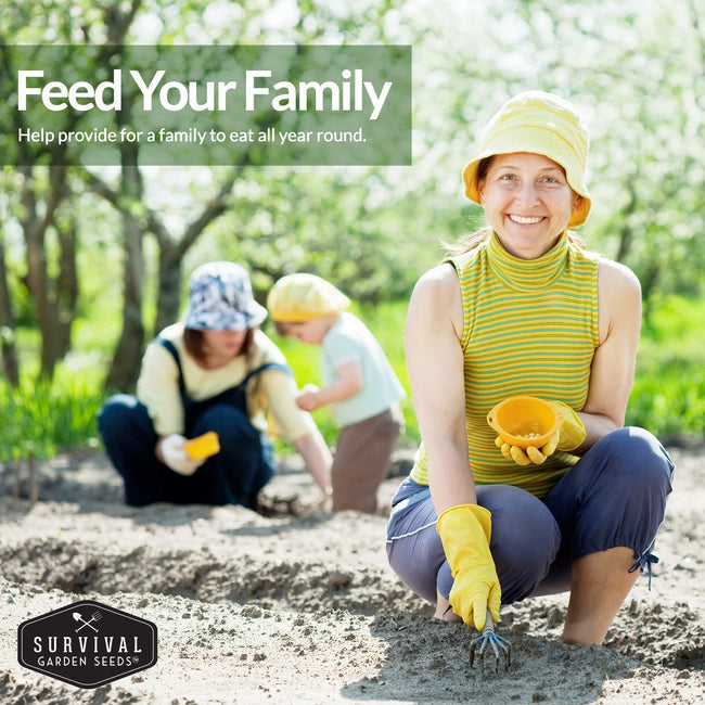 Survival Garden Seeds Vegetable Garden Collection 15 Heirloom Vegetables Seed Varieties