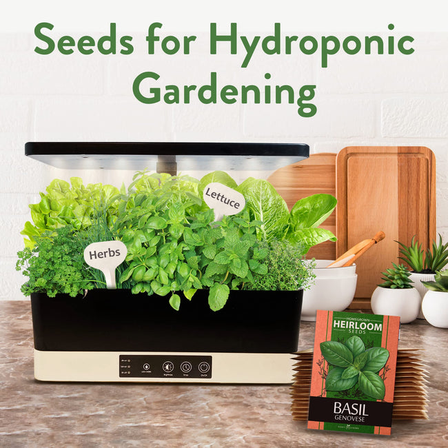 Home Grown Brand Heirloom Herb Seeds 20 Variety Pack
