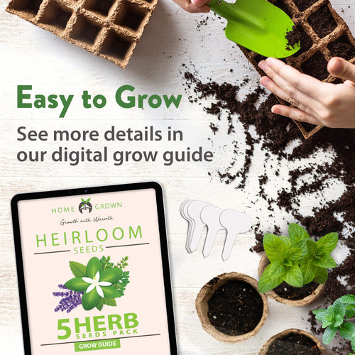 Home Grown Brand, Non-GMO, Heirloom Herbs (5 Varieties)