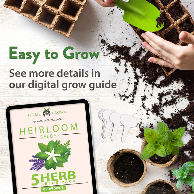 Home Grown Brand, Non-GMO, Heirloom Herbs (5 Varieties)