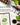 Home Grown Brand, Non-GMO, Heirloom Herbs (5 Varieties)