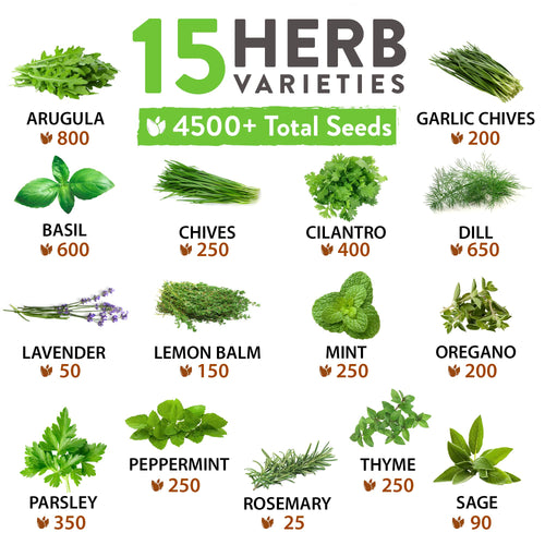 Home Grown 15 Culinary Herb Seeds Vault - Heirloom & Non-GMO Seeds - 4900+ Seeds for Planting Indoor or Outdoor Herb Garden