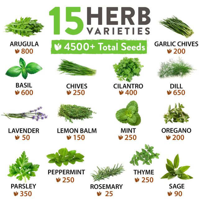 Home Grown 15 Culinary Herb Seeds Vault - Heirloom & Non-GMO Seeds - 4900+ Seeds for Planting Indoor or Outdoor Herb Garden
