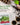 Home Grown Brand, Heirloom Seeds, Spring Vegetables 12 Variety Pack
