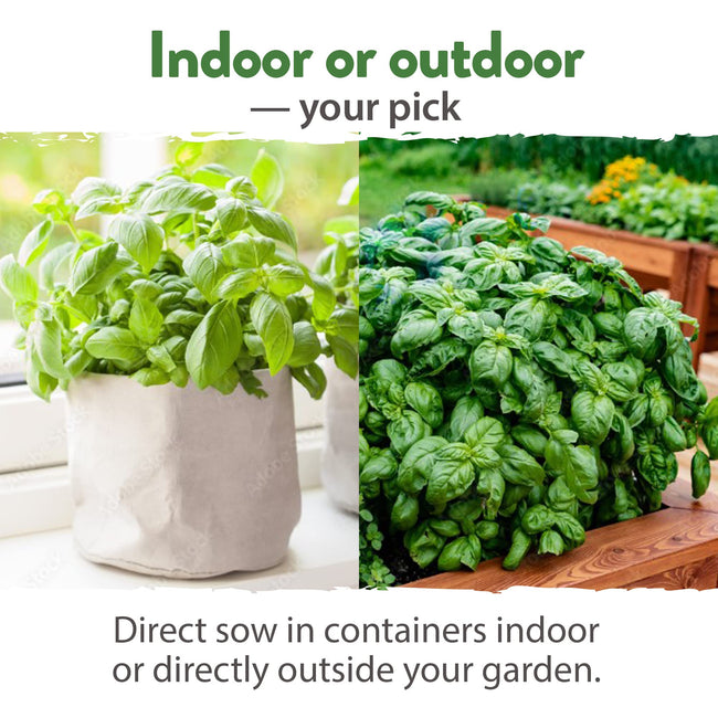 Home Grown Brand Heirloom Herb Seeds 20 Variety Pack