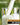 Ready Hour Bulk Powdered Real Whey Milk Pail - 144 Servings