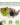 Home Grown Brand, Heirloom Seeds, Spring Vegetables 12 Variety Pack